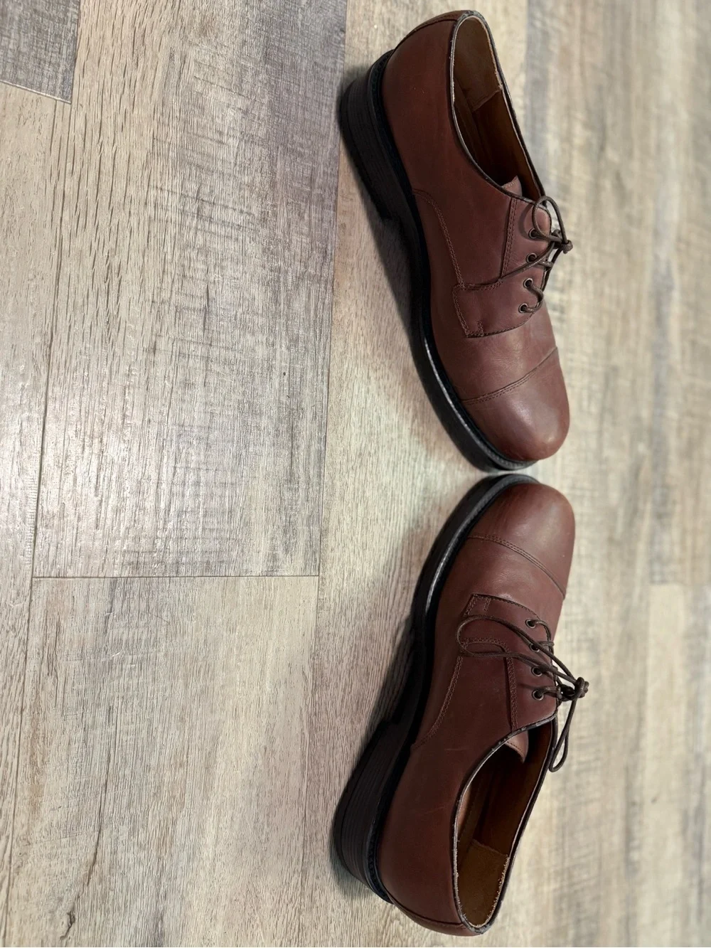 croft & barrow polished brown